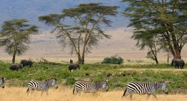 South Sudan tours